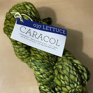 Malabrigo Caracol Lettuce Green Yarn super bulky weight yarn